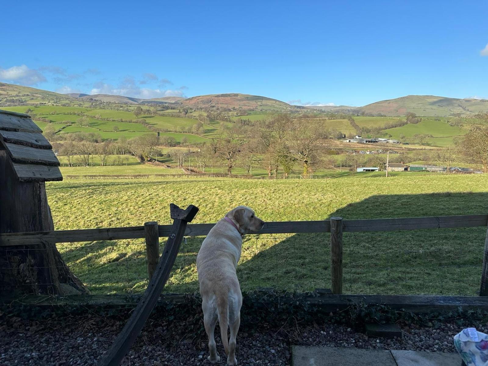 The Retreat Villa Llanrhaeadr-ym-Mochnant Bagian luar foto